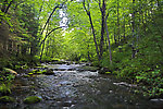  From the Long Lake Branch of the White River in Wisconsin.