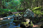 The small stream I was fishing is fed by this even smaller, picture-perfect stream. From Jader Creek in Wisconsin.