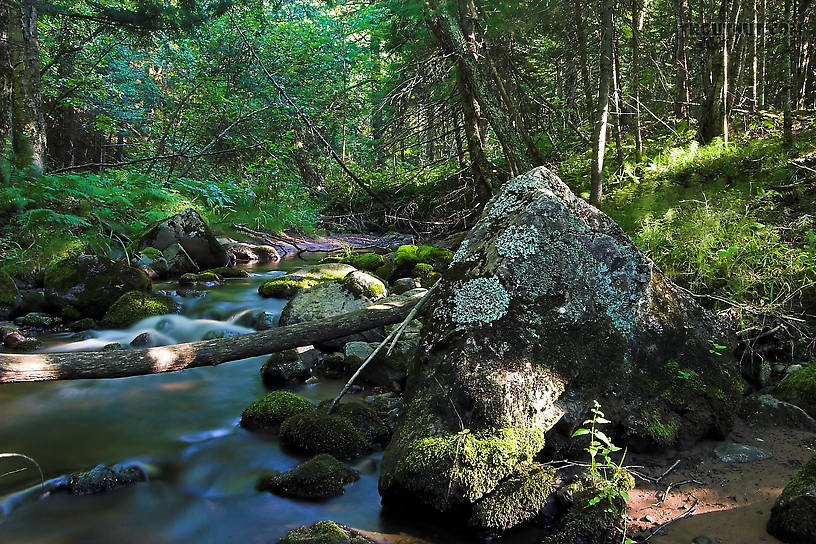 The small stream I was fishing is fed by this even smaller, picture-perfect stream. From Jader Creek in Wisconsin.