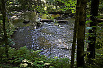 My dad stalks some wary small-stream trout, a mix of browns and brookies. From the Long Lake Branch of the White River in Wisconsin.