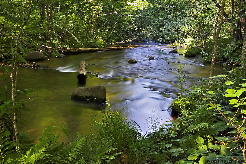  From the Long Lake Branch of the White River in Wisconsin.