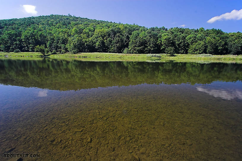  From the Delaware River, Junction Pool in New York.