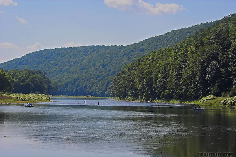  From the Delaware River, Junction Pool in New York.