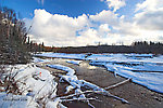 There are no trout here, but this beautiful river in Alaska is home to large Arctic Grayling and several species of salmon. From the Chena River in Alaska.