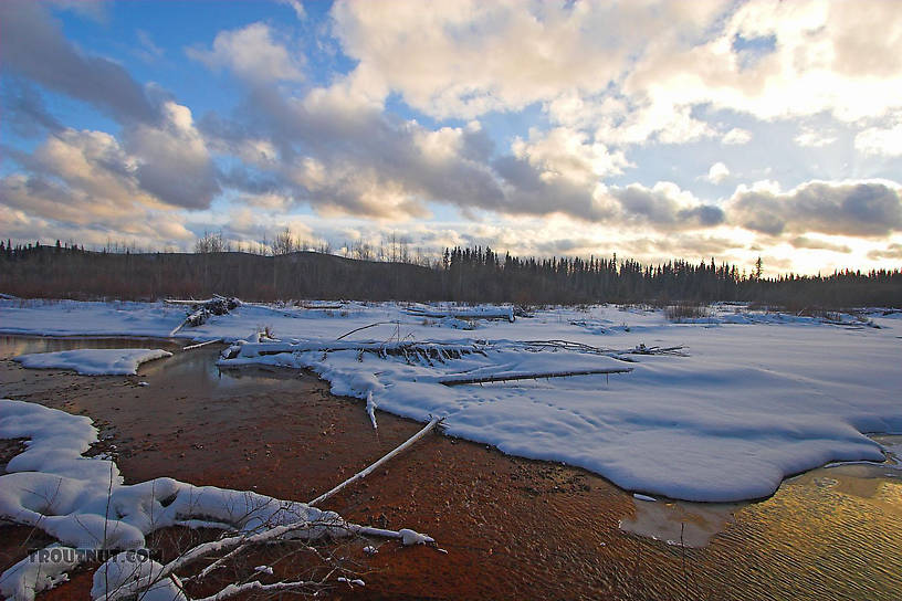 This is not a sunset picture, but a midday picture in Alaska in the winter.  The sun is low in the sky all day at that time of year. From the Chena River in Alaska.