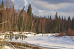 Some pretty winter scenery in Alaska. From the Chena River in Alaska.