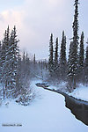 This is a small, photogenic tributary of the main river I was photographing in Alaska. From the Chena River tributary in Alaska.