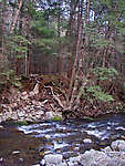  From Mongaup Creek in New York.