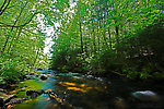  From Eighteenmile Creek in Wisconsin.