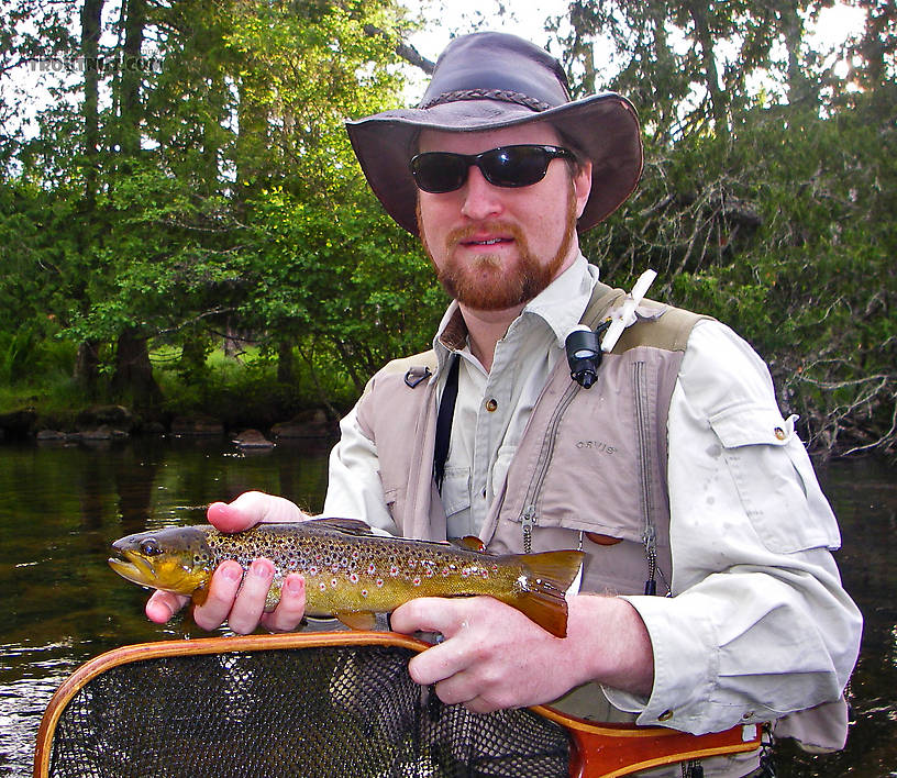 This fun little brown trout was one of many caught during an evening of excellent caddisfly activity. From the Bois Brule River in Wisconsin.