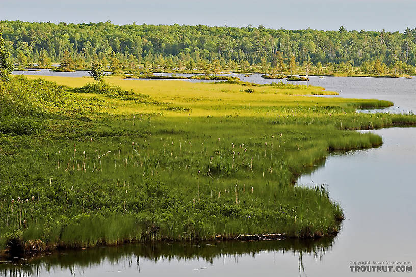 This is the gentle side of Lake Superior, a beautiful backwater bay. From Big Bay on Madeline Island in Lake Superior in Wisconsin.