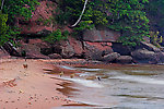 A family of geese take a drink from Lake Superior.  They then swam out effortlessly into the high breaking waves and foiled the retrieving efforts of somebody's ambitious dog. From Big Bay on Madeline Island in Lake Superior in Wisconsin.