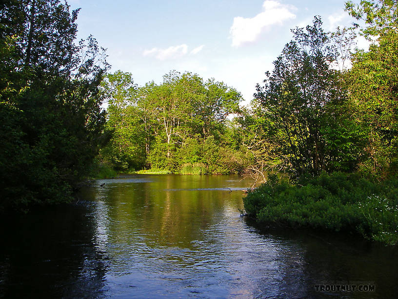  From the Namekagon River near Seeley in Wisconsin.