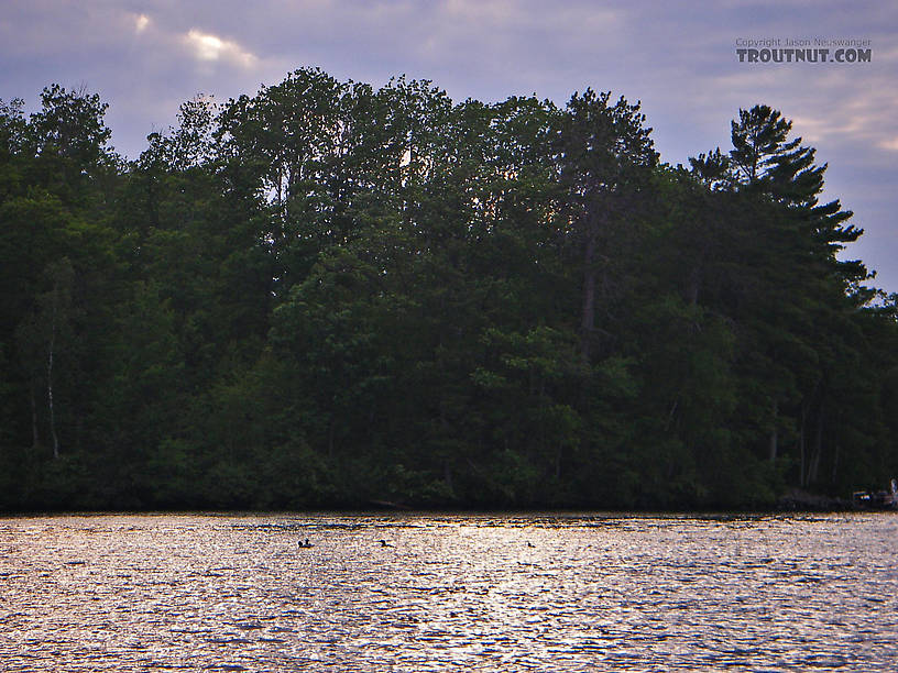  From Grindstone Lake in Wisconsin.