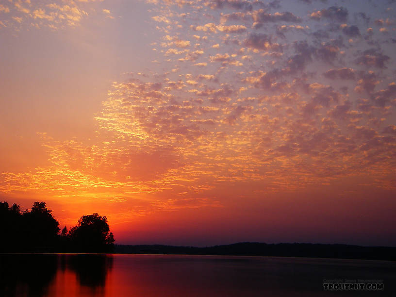  From Grindstone Lake in Wisconsin.