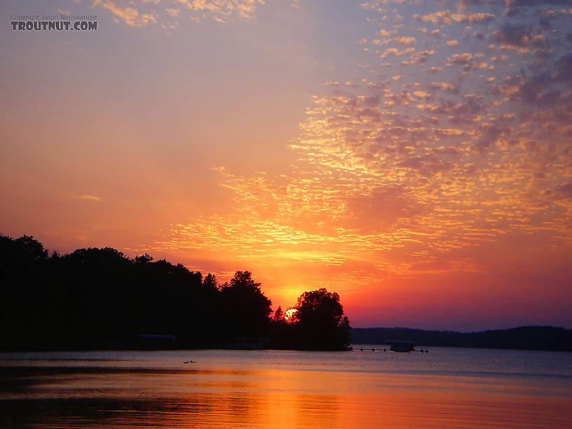  From Grindstone Lake in Wisconsin.