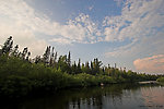  From the Bois Brule River in Wisconsin.