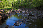  From Spring Creek in Wisconsin.