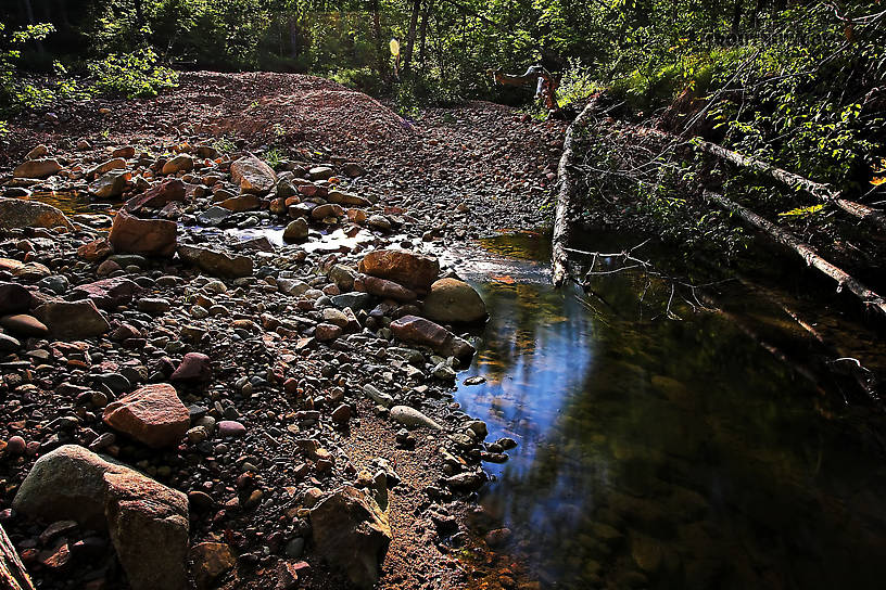  From Spring Creek in Wisconsin.