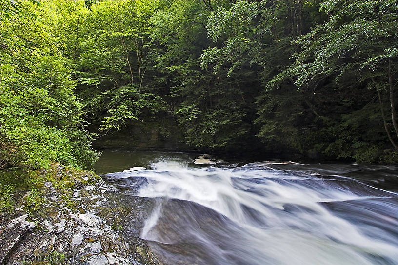  From Enfield Creek in New York.