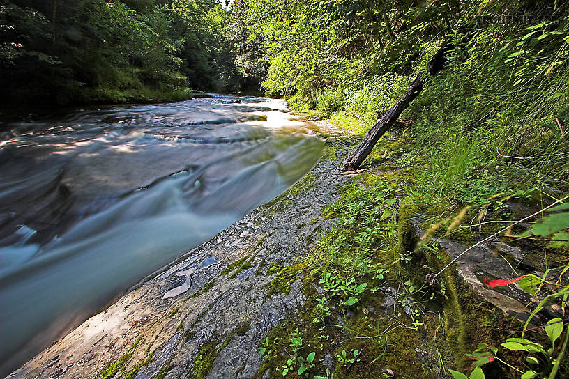  From Enfield Creek in New York.