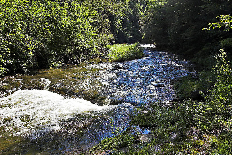  From Enfield Creek in New York.