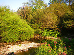  From the West Branch of Owego Creek in New York.