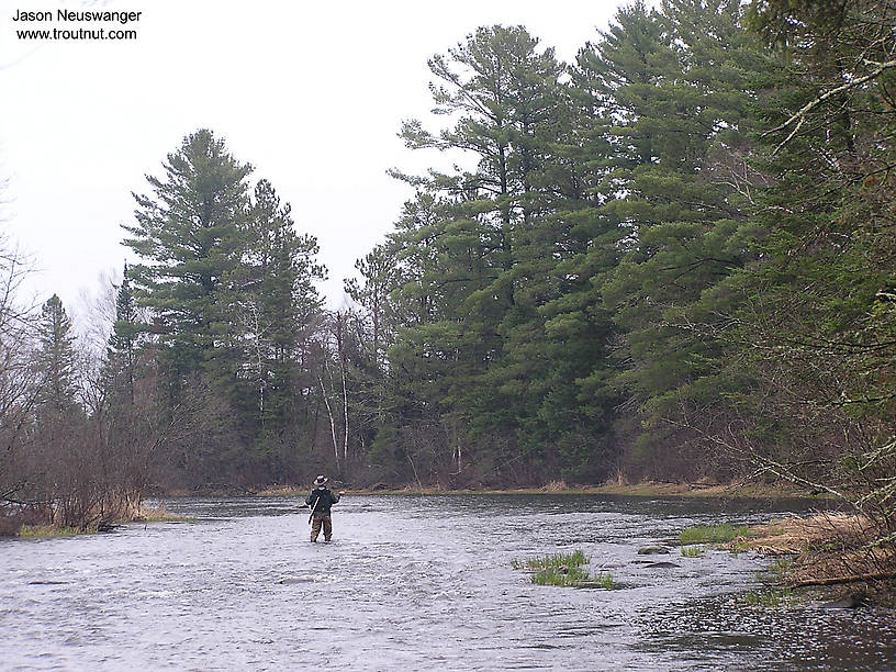 I'm in this picture casing into the riffle above one of my favorite pools.  The fishing was fine, but the catching wasn't so hot.  I got one strike on my carefully tied nymphs and two on my cheap foam strike indicator. From the Namekagon River in Wisconsin.