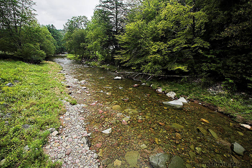  From the Mystery Creek # 23 in New York.