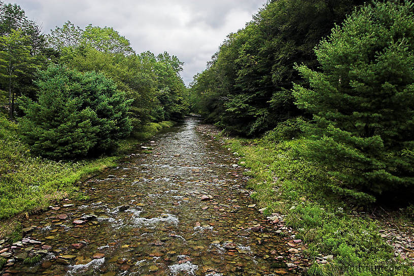  From the Mystery Creek # 23 in New York.