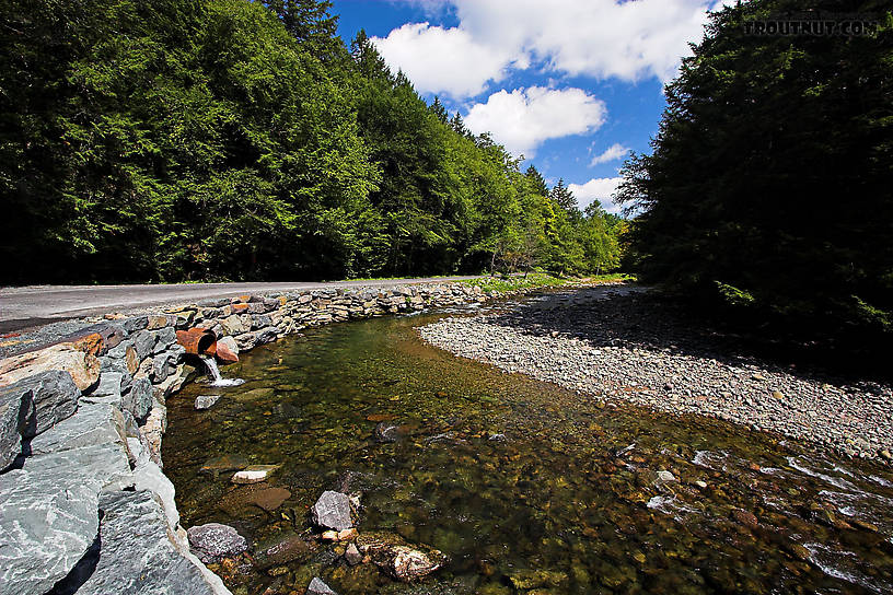 It's a real shame that this beautiful piece of Catskill water is off-limits to the public.  It was tempting to cast from the road itself. From the West Branch of the Neversink River in New York.