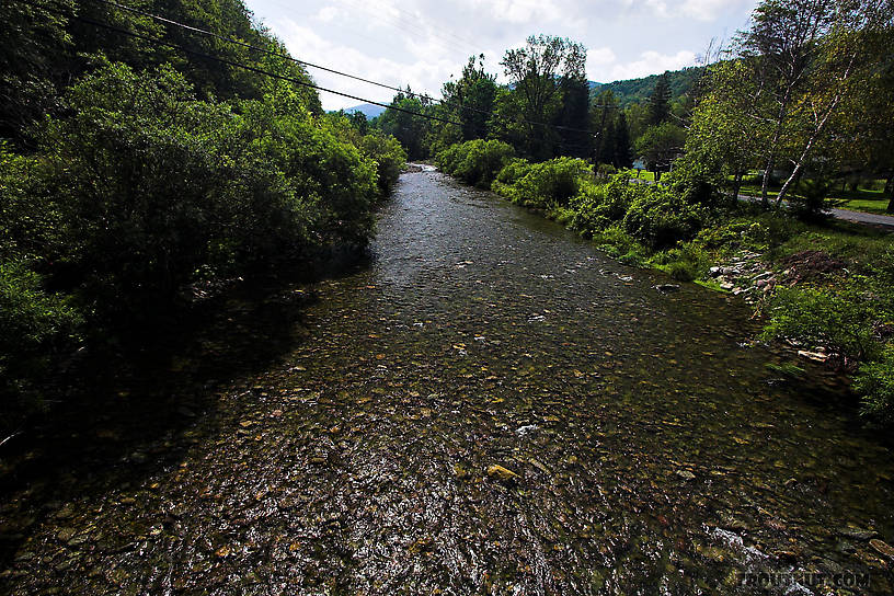  From Esopus Creek in New York.