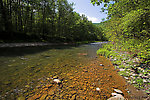  From Esopus Creek in New York.