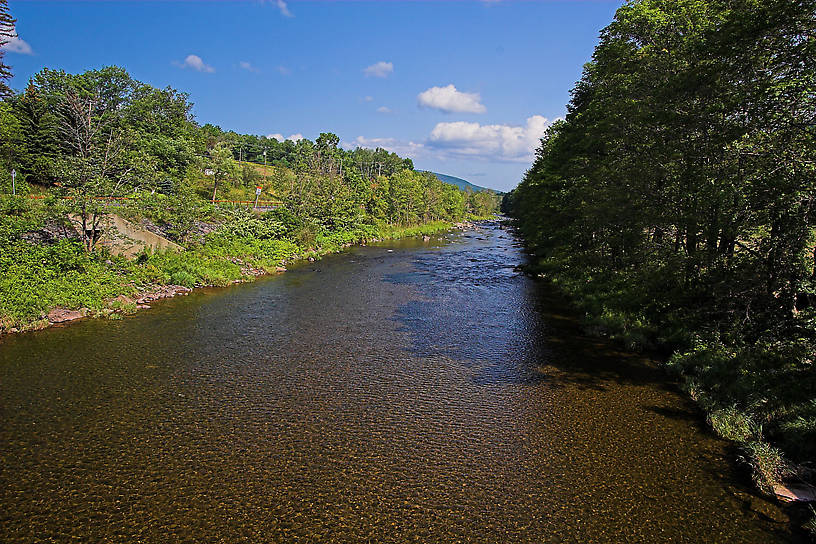  From Schoharie Creek in New York.