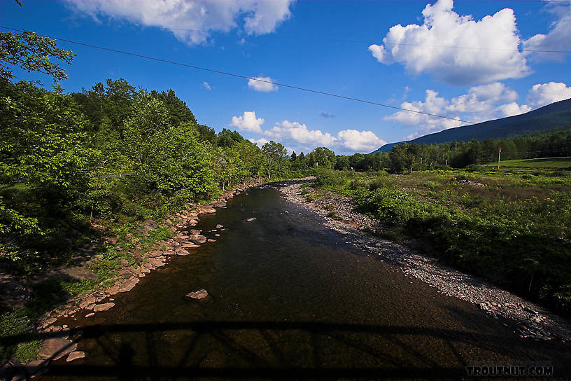 There's a really deep pool below this bridge (with seemingly posted property around it) and I saw some fish swimming around, probably some of them trout around 10-12 inches. From Schoharie Creek in New York.