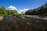  From Schoharie Creek in New York.