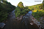 This small stream splits around a large island. From East Kill in New York.