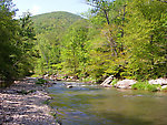  From Esopus Creek in New York.