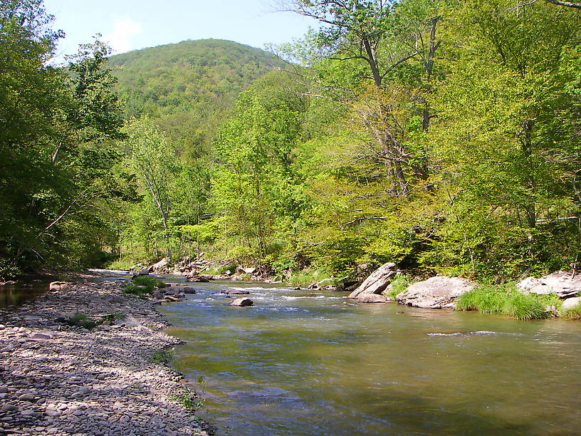  From Esopus Creek in New York.