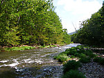  From Esopus Creek in New York.