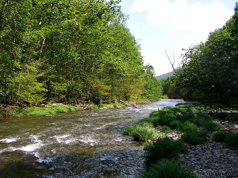  From Esopus Creek in New York.