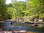  From Esopus Creek in New York.