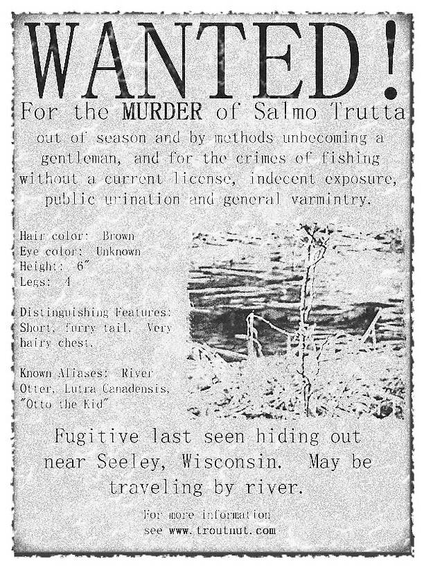 This poster shows a mink, but when I made up the poster I thought it was an otter. Now you know why I'm not a trapper. It was a pretty big mink. From the Namekagon River in Wisconsin.