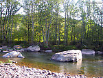  From Schoharie Creek in New York.