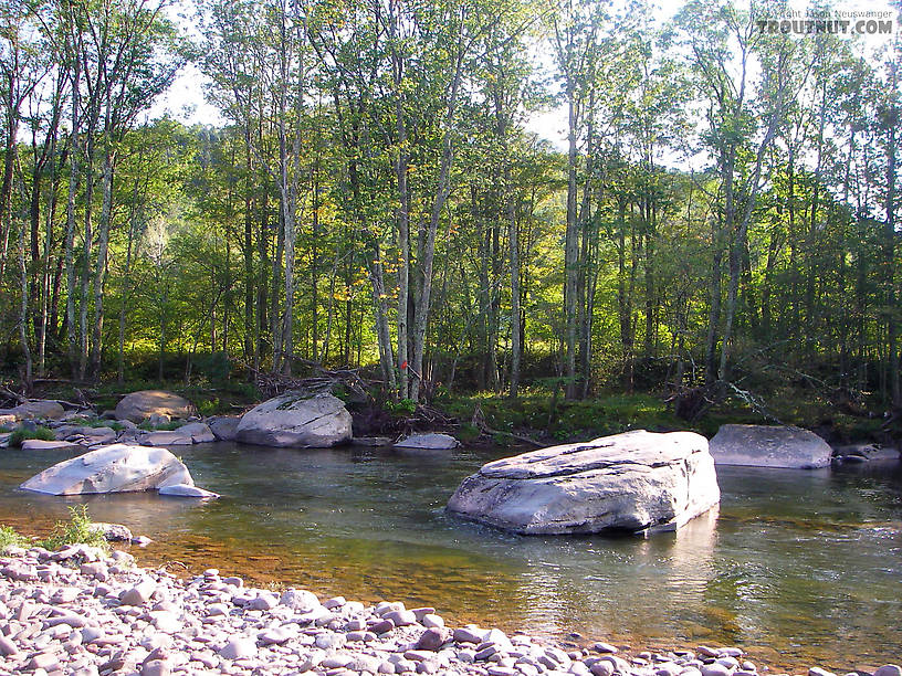  From Schoharie Creek in New York.