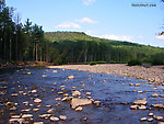  From Schoharie Creek in New York.