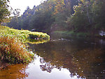  From the Neversink River in New York.