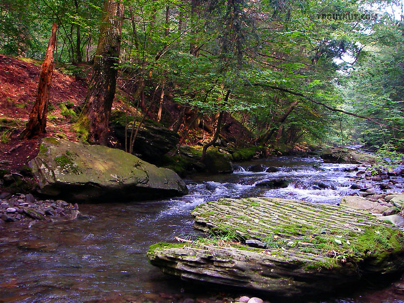  From Rondout Creek in New York.