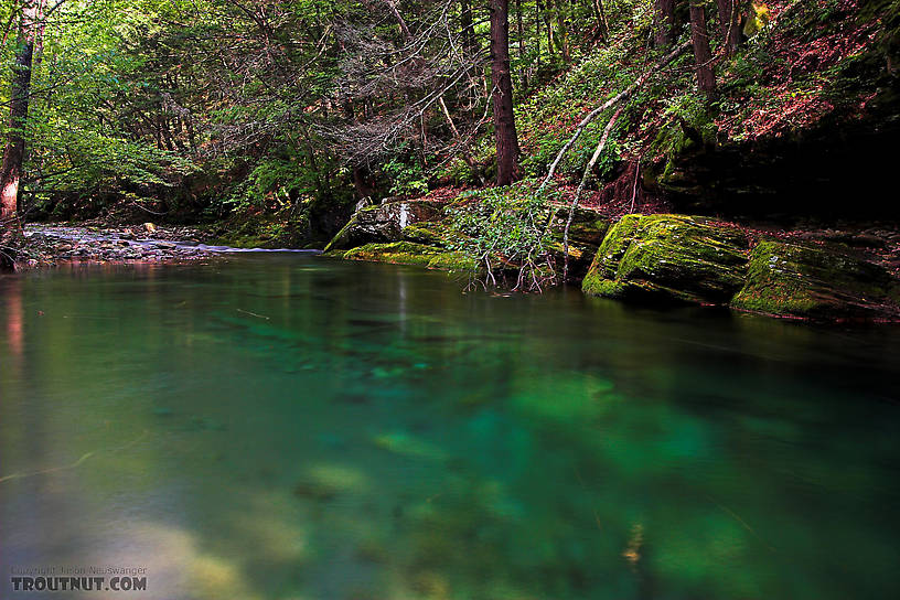  From Rondout Creek in New York.