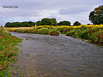 This Lake Ontario tributary was seemingly devoid of big fish in mid-September. From Sandy Creek in New York.